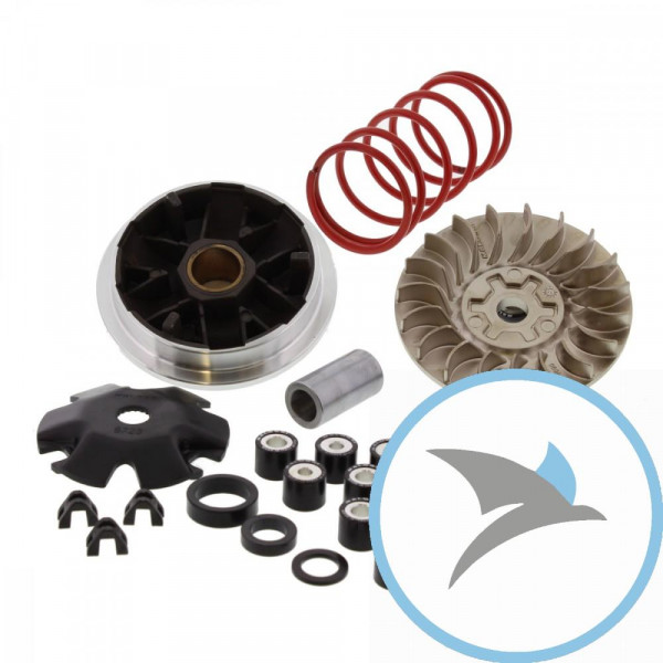 Variomatik tuning MalossiMULTIVAR MHR