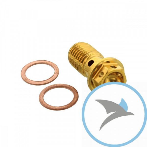 Hohlschraube einfach M10 x 1.25 Edelstahl V4A Racing gold PB - LSSBANJOS10RG