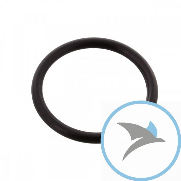Dichtung Steuerkettenspanner Originalersatzteil O-Ring