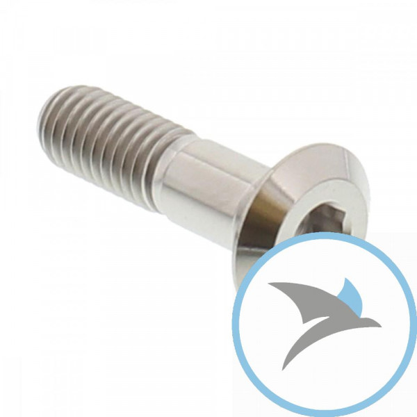Schraube Kettenrad Pro Bolt M8X1.25 mm 31MM Titan - TISPB8
