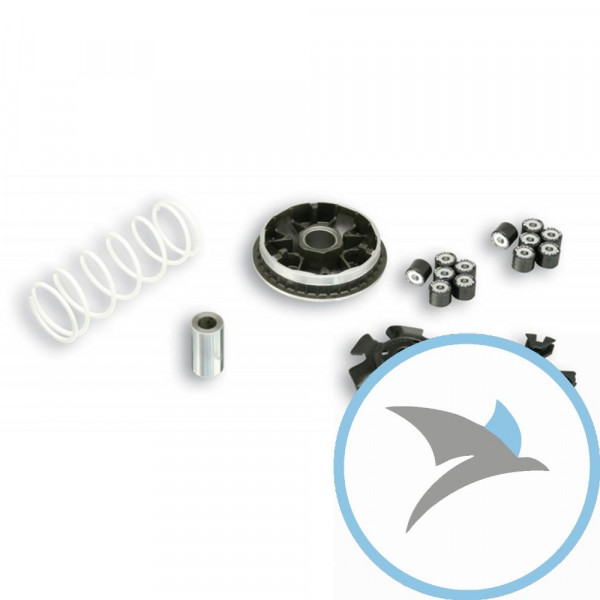Variomatik tuning Malossi MULTIVAR 2000 MHR